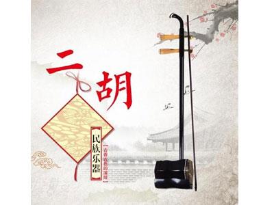 招聘黔西南二胡家教老师